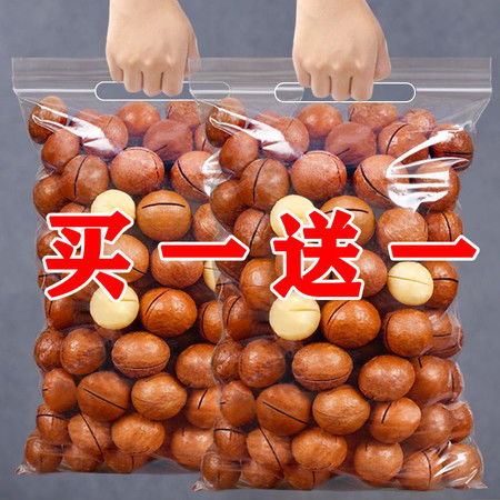 夏威夷果新貨上市 奶油堅果的誘人魅力與批發選擇指南